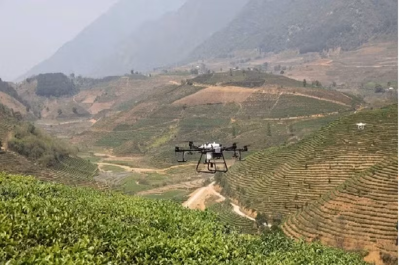 El uso de drones en la producción agrícola impulsa la modernización y la transformación digital del sector. (Fuente: nhandan.vn)