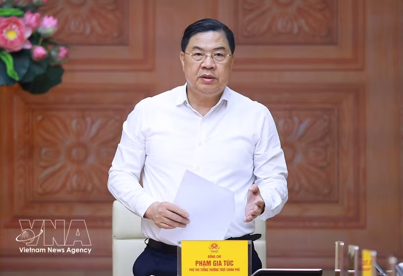 El viceprimer ministro permanente de Vietnam, Pham Gia Tuc. (Foto: VNA)