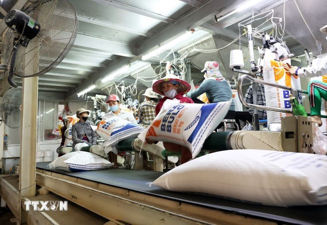 Linea de envasado de arroz para exportación en la provincia de An Giang. (Foto: VNA)