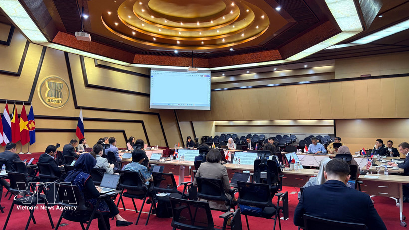 La 24ª reunión del Comité Conjunto de Cooperación ASEAN–Rusia. (Foto: VNA)