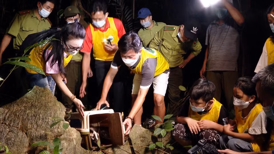 El recorrido "Regreso a casa" del Parque Nacional Cuc Phuong atrae a muchos turistas, contribuyendo a difundir el mensaje de conservación de la vida silvestre. (Foto: VNA)