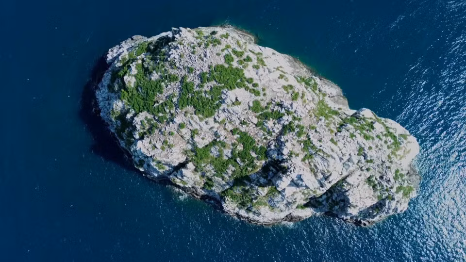 El santuario de aves de la isla Trung se ha convertido en un área de residencia y reproducción para muchas especies de aves raras. (Foto: VNA)