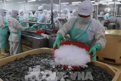 Foto ilustrada (Fuente: VNA)