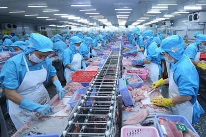 Procesamiento de mariscos para exportación (Fuente: VNA)