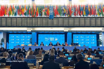 En la apertura del 181.º período de sesiones del Consejo de la FAO (Fuente: VNA)