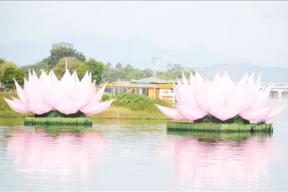 Dos de las siete flores de loto fueron lanzadas al río Perfume en la ciudad de Hue, como parte de los preparativos para la celebración del cumpleaños de Buda (calendario budista 2570). Foto: VNA