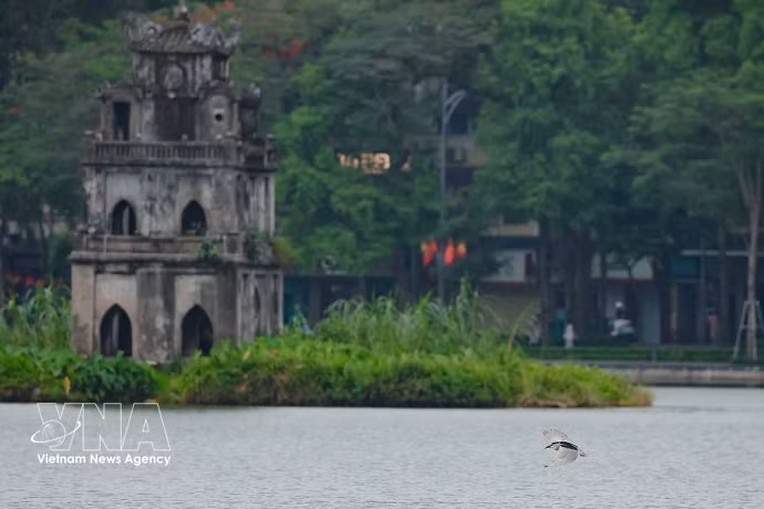 El Lago de Hoan Kiem, un símbolo histórico y cultural de la capital Hanoi. (Foto: VNA)