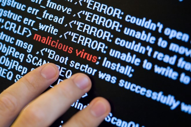 Más de 30 millones de computadoras en Vietnam afectadas por nuevos virus ảnh 1