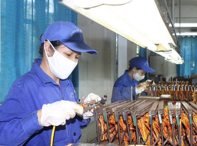 Empresas de Vietnam y UEE buscan oportunidades de cooperación ảnh 1