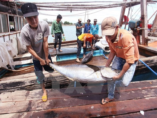 Alcanzable meta de exportación de productos agroforestales vietnamitas ảnh 1
