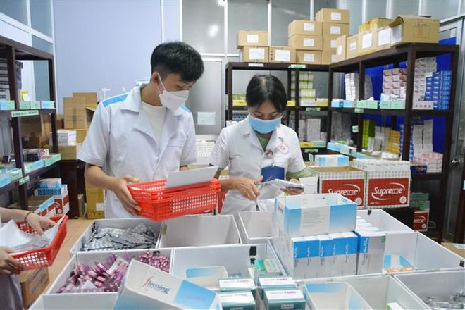 Vicepremier vietnamita pide garantizar suministro de medicamentos con precios razonables ảnh 2 Vicepremier vietnamita pide garantizar suministro de medicamentos con precios razonables ảnh 2