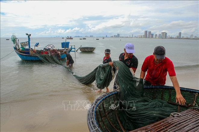 Tormenta Noru podría provocar fuertes lluvias en región central de Vietnam ảnh 2 Tormenta Noru podría provocar fuertes lluvias en región central de Vietnam ảnh 2