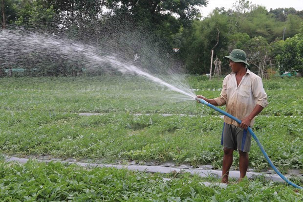 Tra Vinh dedica capital a desarrollar zonas habitadas por la comunidad khmer ảnh 1 Tra Vinh dedica capital a desarrollar zonas habitadas por la comunidad khmer ảnh 1