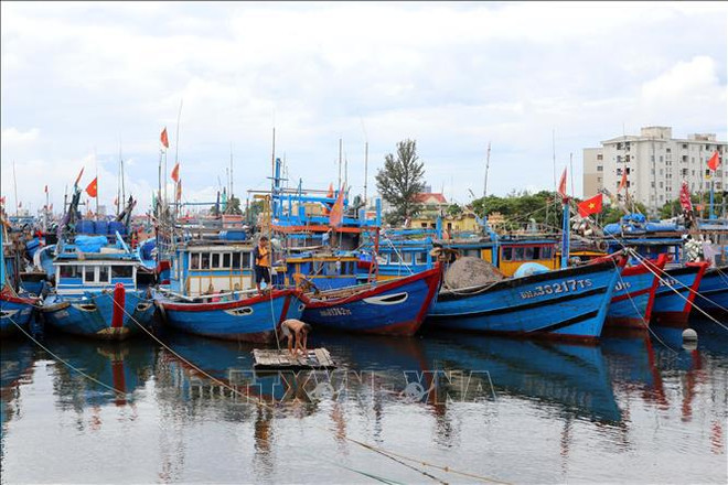 Tormenta Noru podría provocar fuertes lluvias en región central de Vietnam ảnh 1 Tormenta Noru podría provocar fuertes lluvias en región central de Vietnam ảnh 1