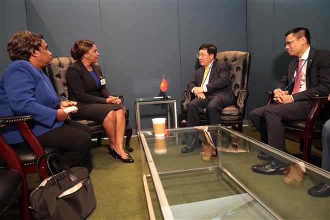 Vietnam fortalece cooperación bilateral con Países Bajos y países africanos ảnh 2 Vietnam fortalece cooperación bilateral con Países Bajos y países africanos ảnh 2