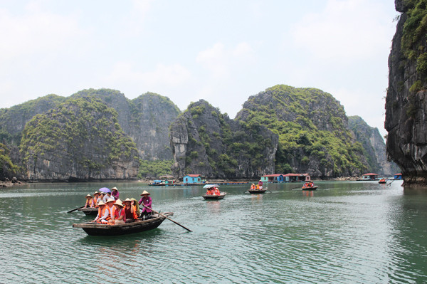 Provincia vietnamita de Quang Ninh desarrolla acuicultura en el mar asociada con ecoturismo ảnh 2 Provincia vietnamita de Quang Ninh desarrolla acuicultura en el mar asociada con ecoturismo ảnh 2