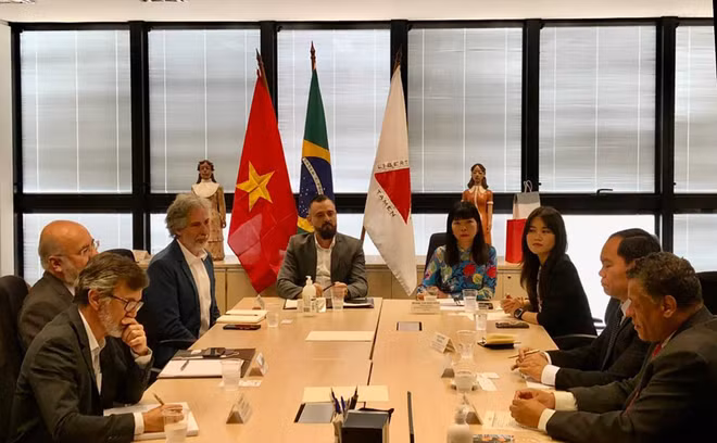 Vietnam promueve cooperación con Brasil ảnh 2