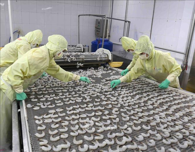 En alza producción pesquera de Vietnam en primeros nueve meses ảnh 1 En alza producción pesquera de Vietnam en primeros nueve meses ảnh 1