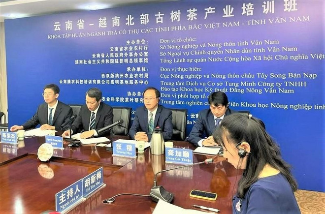 Clausuran curso de capacitación sobre industria de té para agricultores vietnamitas y chinos ảnh 1