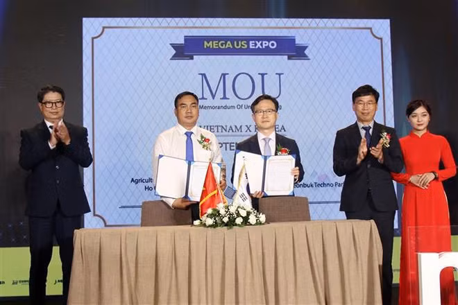Promueven intercambio comercial entre Vietnam y Corea del Sur ảnh 2
