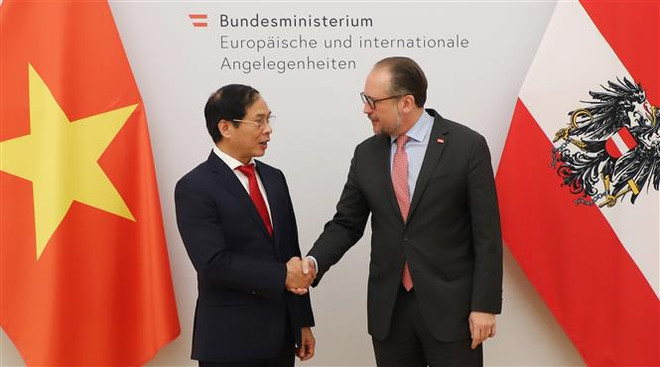 Canciller vietnamita realiza visita oficial a Austria ảnh 1 Canciller vietnamita realiza visita oficial a Austria ảnh 1