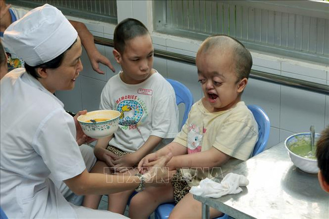 Proponen soluciones de atención de salud a niños víctimas de agente naranja ảnh 1 Proponen soluciones de atención de salud a niños víctimas de agente naranja ảnh 1