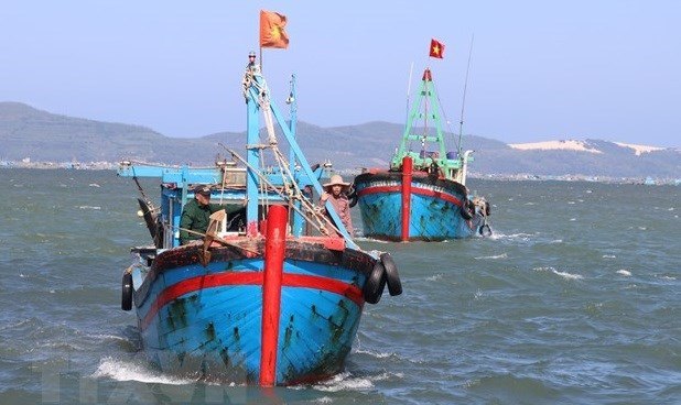 Vietnam refuerza lucha contra pesca ilegal, no declarada y no reglamentada ảnh 1