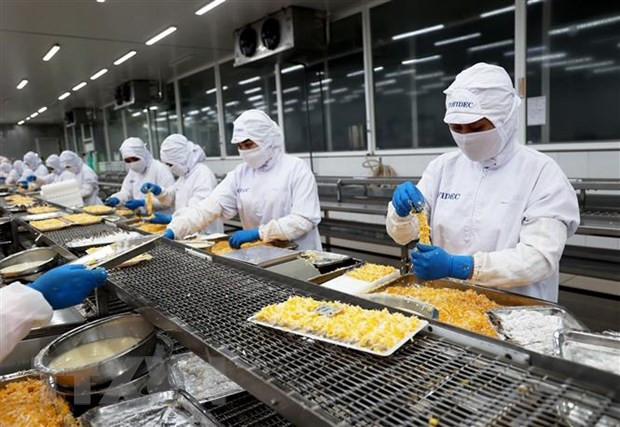 Escuela de Dinamarca efectúa seminario para mejorar capacidad de empresas vietnamitas ảnh 1 Escuela de Dinamarca efectúa seminario para mejorar capacidad de empresas vietnamitas ảnh 1