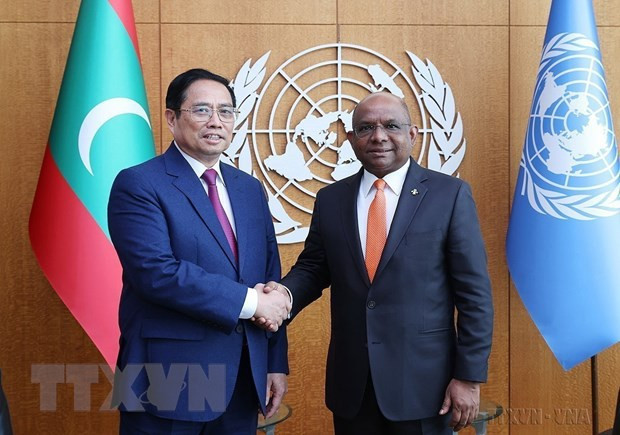 Vietnam, socio confiable para la paz, la cooperación y el desarrollo ảnh 3 Vietnam, socio confiable para la paz, la cooperación y el desarrollo ảnh 3