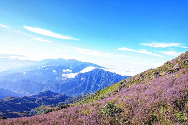 Yen Bai lanza recorridos para conquistar dos de las montañas más altas de Vietnam ảnh 2 Yen Bai lanza recorridos para conquistar dos de las montañas más altas de Vietnam ảnh 2