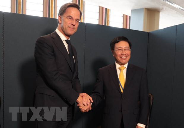 Vietnam fortalece cooperación bilateral con Países Bajos y países africanos ảnh 1 Vietnam fortalece cooperación bilateral con Países Bajos y países africanos ảnh 1