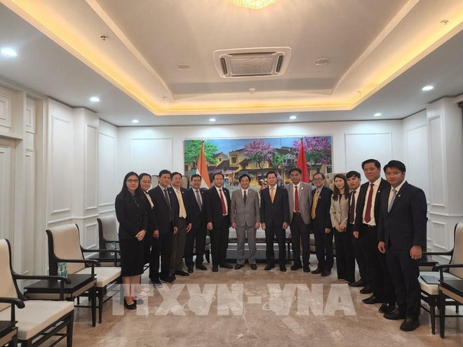 Binh Duong fortalece cooperación comercial con la India ảnh 2 Binh Duong fortalece cooperación comercial con la India ảnh 2