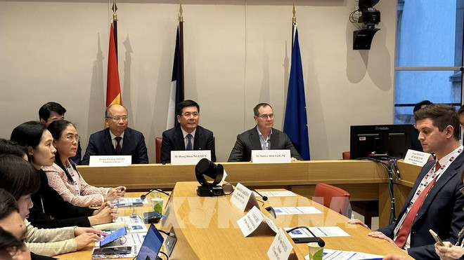 Vietnam tiene ventajas para promover relaciones ASEAN-Francia ảnh 2 Vietnam tiene ventajas para promover relaciones ASEAN-Francia ảnh 2