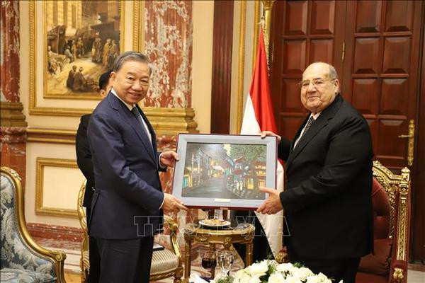 Vietnam y Egipto refuerzan nexos partidistas ảnh 1 Vietnam y Egipto refuerzan nexos partidistas ảnh 1