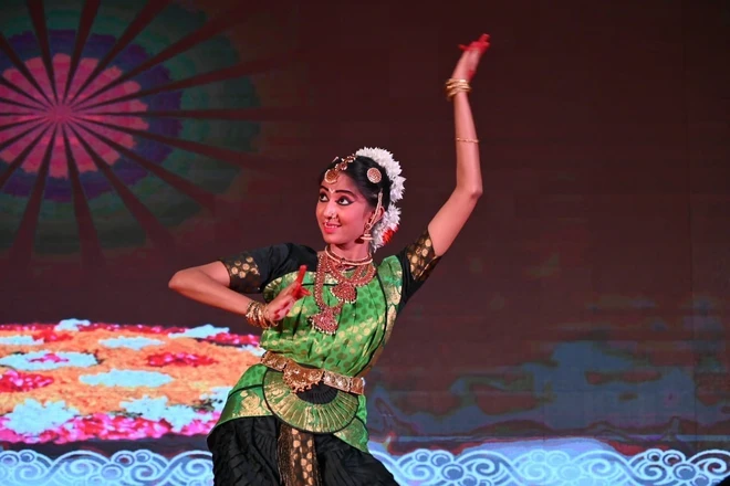 Organizan XI Festival de la Amistad entre Vietnam e India ảnh 1