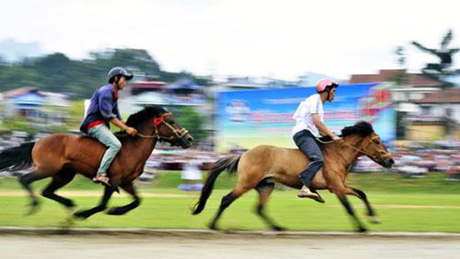 Inauguran Club de Ecuestre en provincia vietnamita ảnh 1 Inauguran Club de Ecuestre en provincia vietnamita ảnh 1