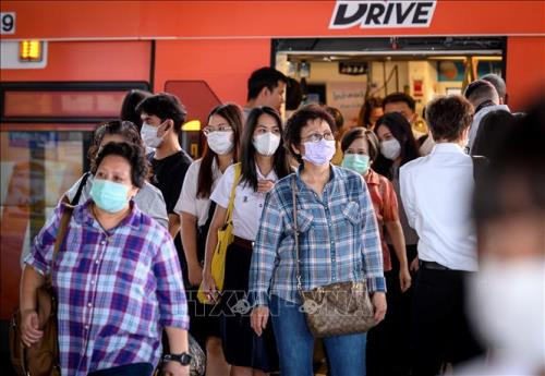 Tailandia desarrolla kits de prueba para el diagnóstico del COVID-19 en línea ảnh 1