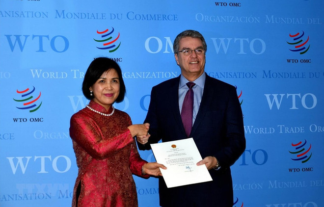 Ratifica Vietnam su estrecha cooperación con la OMC ảnh 1 Ratifica Vietnam su estrecha cooperación con la OMC ảnh 1