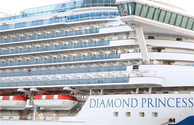 Provincia vietnamita permanece libre de coronavirus tras visita del crucero Diamond Princess ảnh 1