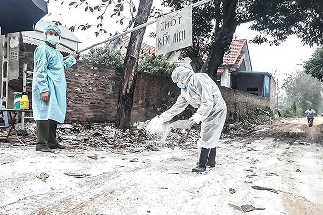 Impulsa Hanoi prevención del contagio de la gripe aviar A/H5N6 ảnh 1