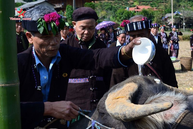 Rito dedicado al búfalo, tradición de la etnia Lu en Vietnam ảnh 2 Rito dedicado al búfalo, tradición de la etnia Lu en Vietnam ảnh 2