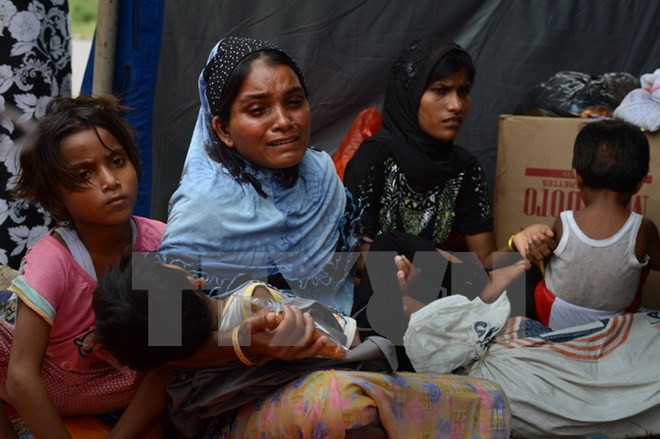 Myanmar y ACNUR acordaron plan de repatriación de inmigrantes en Tailandia ảnh 1