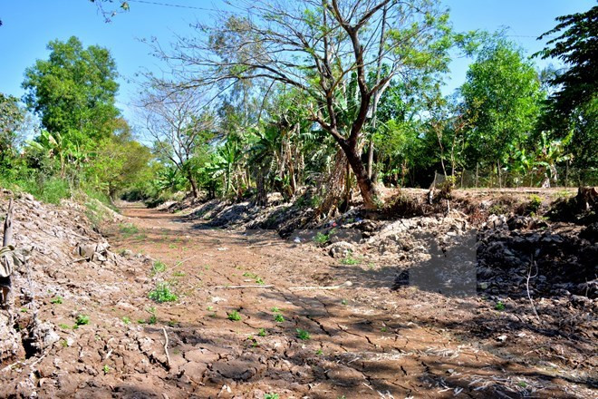 Save the Children apoya a provincia vietnamita en respuesta al cambio climático ảnh 1 Save the Children apoya a provincia vietnamita en respuesta al cambio climático ảnh 1