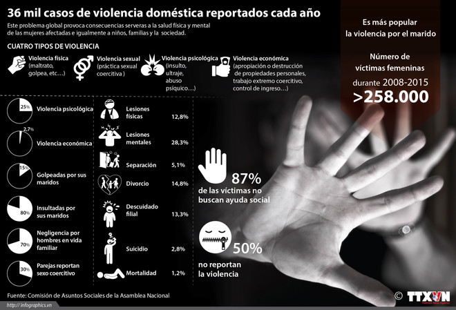 [Infografía] Violencia doméstica en Vietnam ảnh 1
