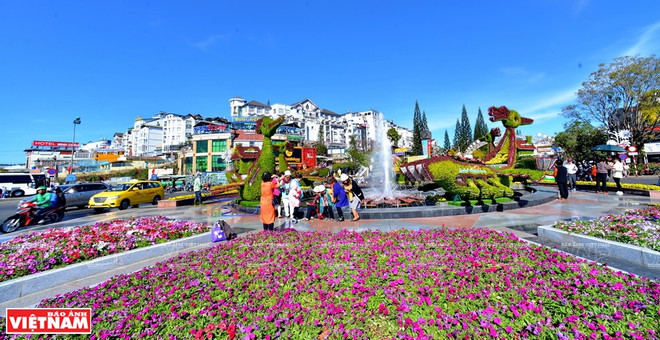 Da Lat, capital de exportación de flores ảnh 1 Da Lat, capital de exportación de flores ảnh 1