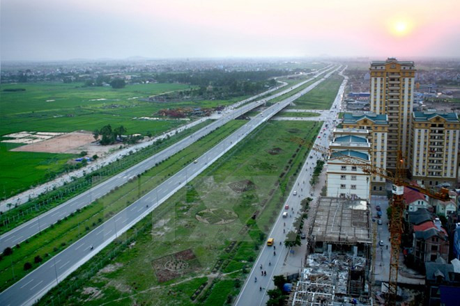 Creará Hanoi más espacios verdes con la siembra de 45 mil árboles ảnh 1