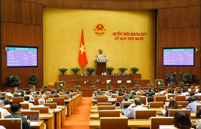 Parlamento de Vietnam aprueba enmiendas de dos leyes ảnh 1