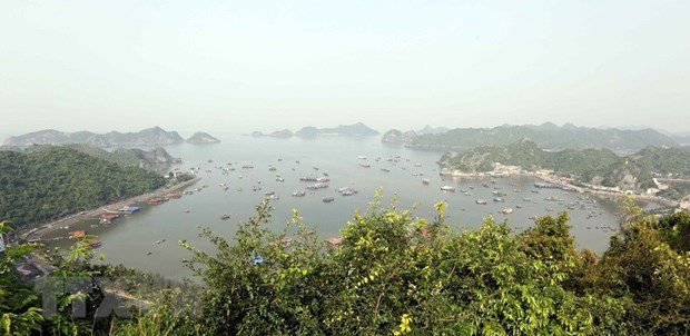 Destacan contribución de Vietnam a la conservación de las reservas de la biosfera ảnh 1 Destacan contribución de Vietnam a la conservación de las reservas de la biosfera ảnh 1