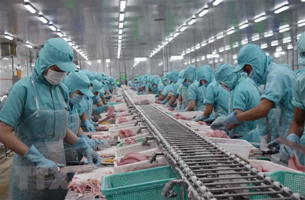 Vietnam podría ingresar fondo multimillonario por exportaciones de pescado Tra en 2020 ảnh 1 Vietnam podría ingresar fondo multimillonario por exportaciones de pescado Tra en 2020 ảnh 1