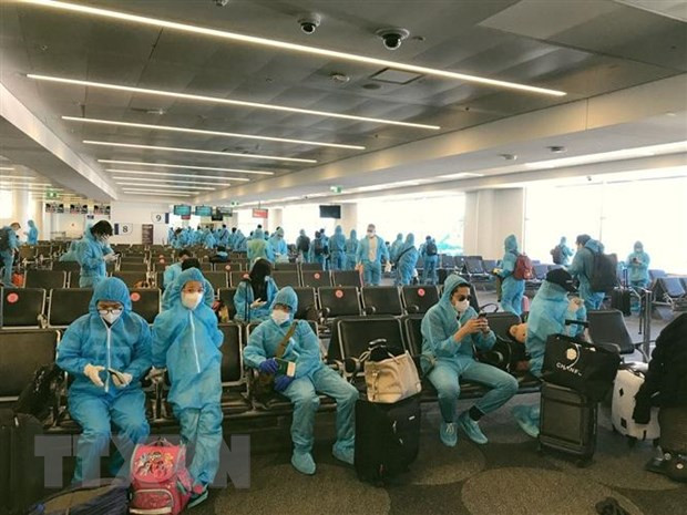Repatrían a 240 ciudadanos vietnamitas desde Corea del Sur por COVID-19 ảnh 1 Repatrían a 240 ciudadanos vietnamitas desde Corea del Sur por COVID-19 ảnh 1